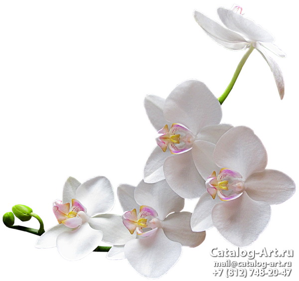 Натяжные потолки с фотопечатью - Белые орхидеи 45